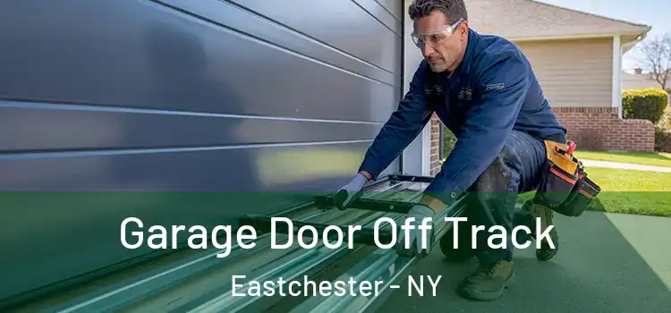  Garage Door Off Track Eastchester - NY