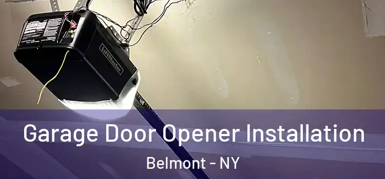  Garage Door Opener Installation Belmont - NY