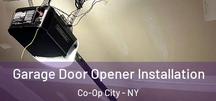  Garage Door Opener Installation Co-Op City - NY