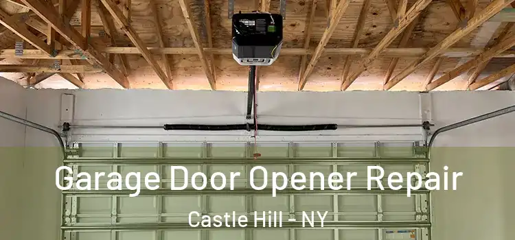  Garage Door Opener Repair Castle Hill - NY