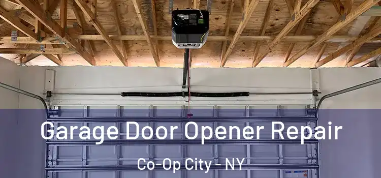  Garage Door Opener Repair Co-Op City - NY