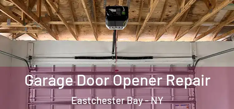  Garage Door Opener Repair Eastchester Bay - NY