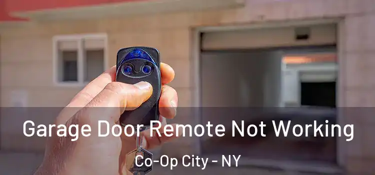  Garage Door Remote Not Working Co-Op City - NY