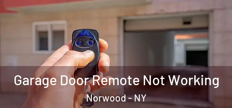  Garage Door Remote Not Working Norwood - NY