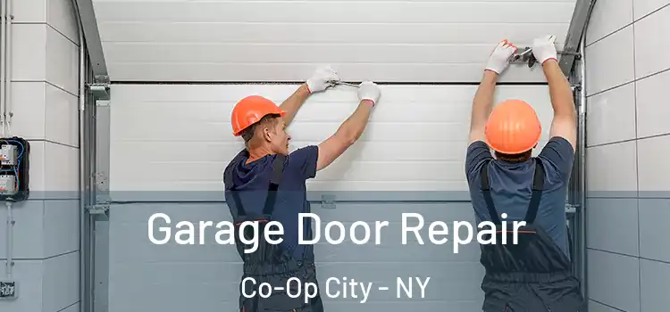  Garage Door Repair Co-Op City - NY