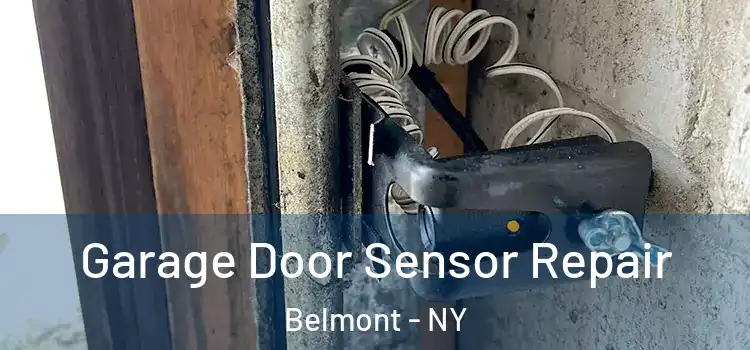 Garage Door Sensor Repair Belmont - NY