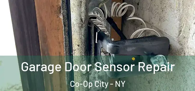 Garage Door Sensor Repair Co-Op City - NY