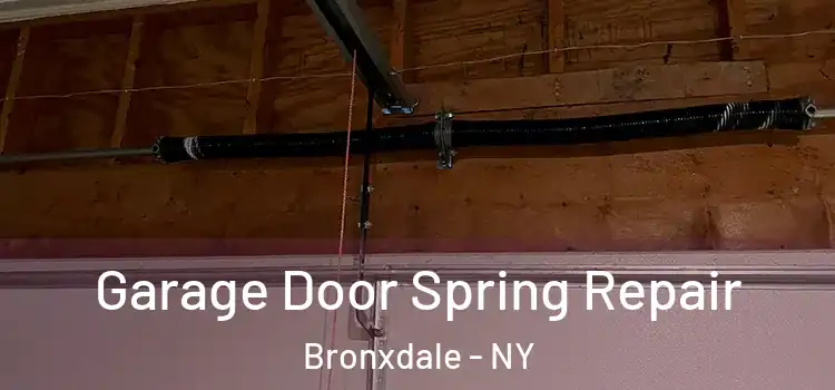  Garage Door Spring Repair Bronxdale - NY