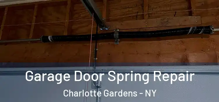  Garage Door Spring Repair Charlotte Gardens - NY