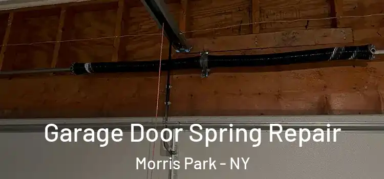  Garage Door Spring Repair Morris Park - NY