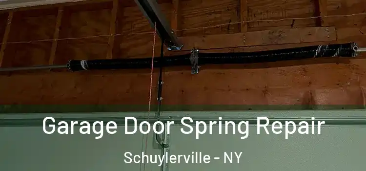  Garage Door Spring Repair Schuylerville - NY