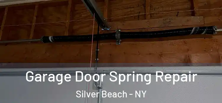  Garage Door Spring Repair Silver Beach - NY