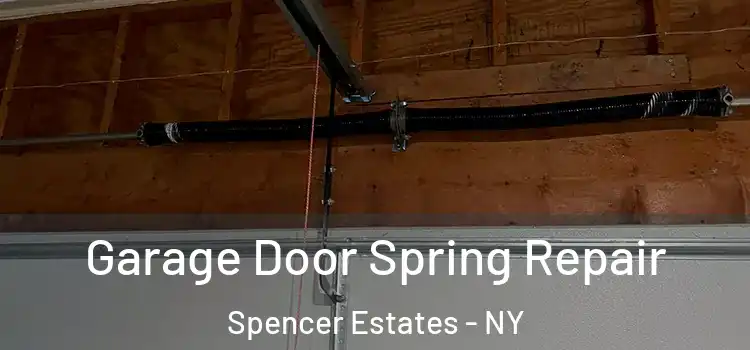  Garage Door Spring Repair Spencer Estates - NY