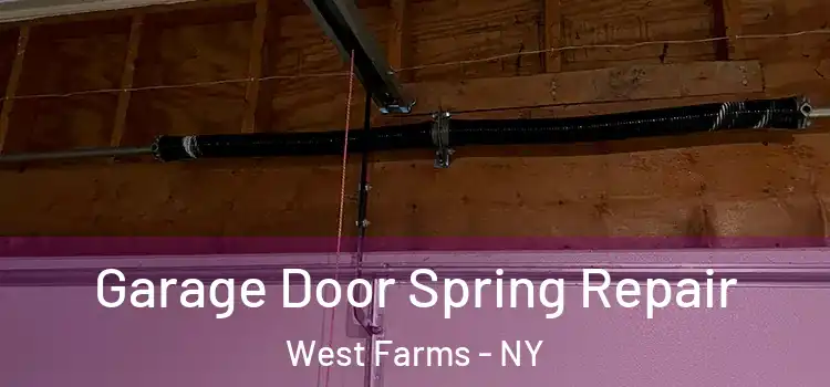  Garage Door Spring Repair West Farms - NY