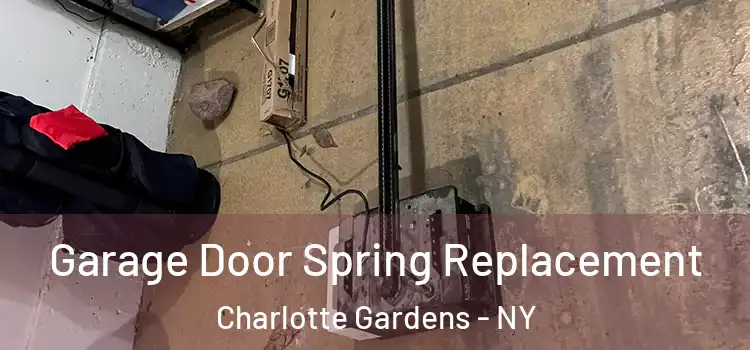  Garage Door Spring Replacement Charlotte Gardens - NY