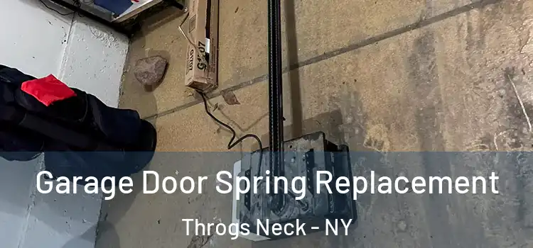  Garage Door Spring Replacement Throgs Neck - NY