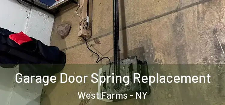  Garage Door Spring Replacement West Farms - NY