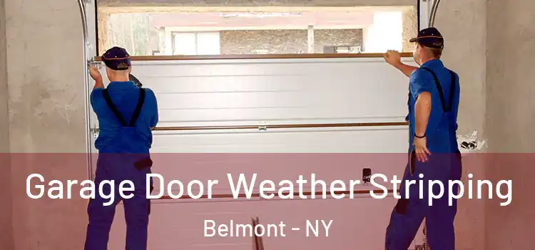  Garage Door Weather Stripping Belmont - NY