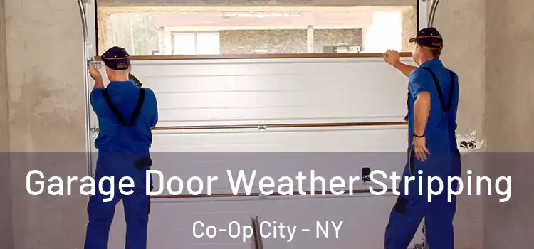  Garage Door Weather Stripping Co-Op City - NY