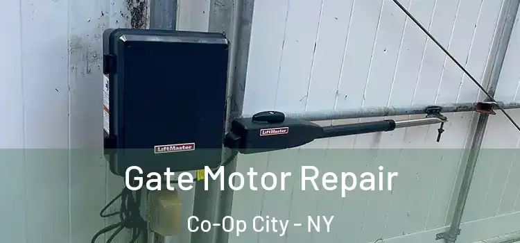 Gate Motor Repair Co-Op City - NY