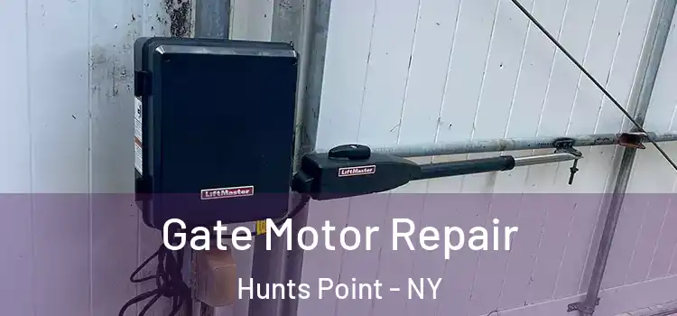 Gate Motor Repair Hunts Point - NY