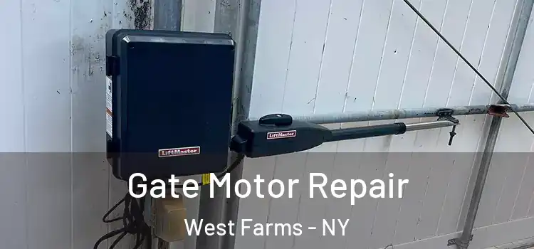 Gate Motor Repair West Farms - NY