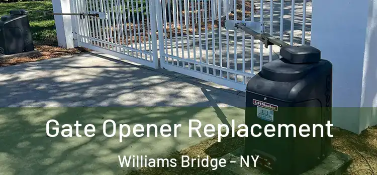 Gate Opener Replacement Williams Bridge - NY