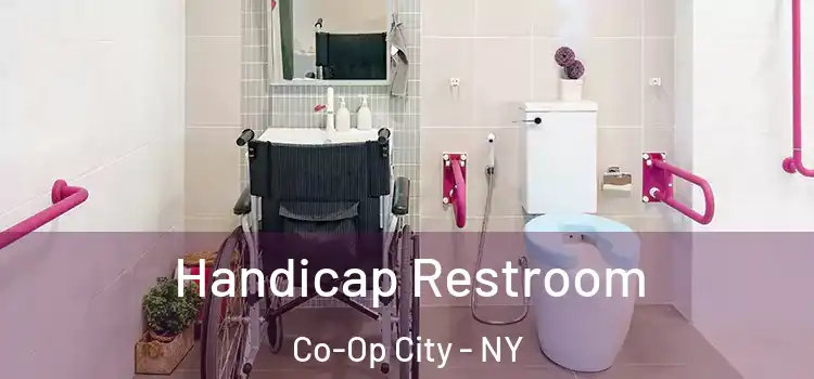  Handicap Restroom Co-Op City - NY