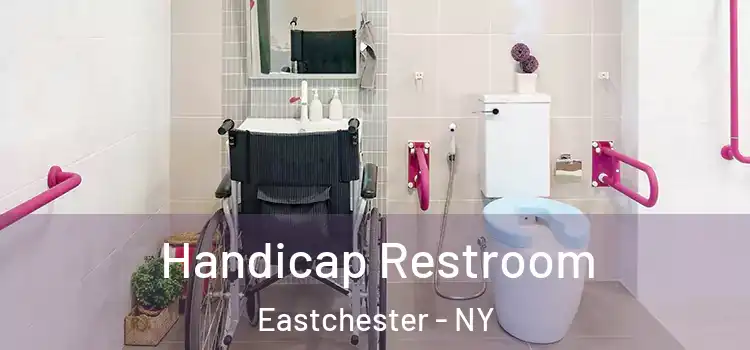  Handicap Restroom Eastchester - NY