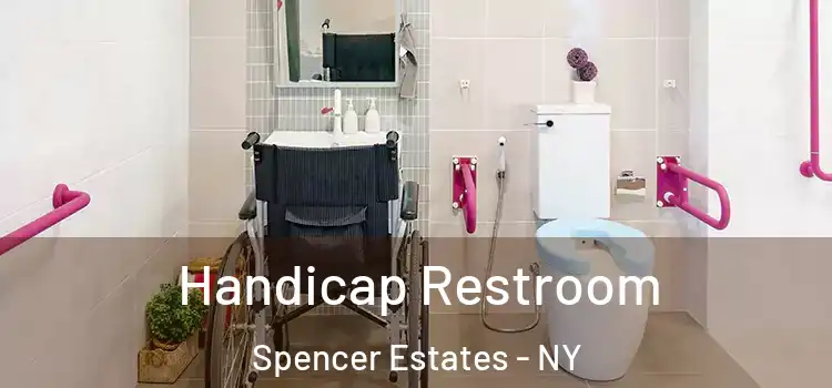 Handicap Restroom Spencer Estates - NY
