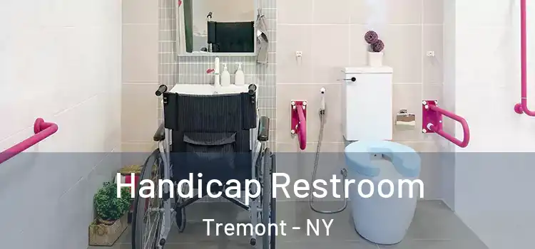 Handicap Restroom Tremont - NY