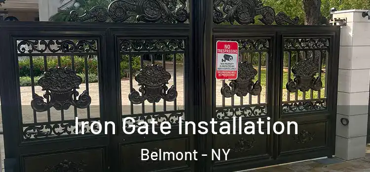 Iron Gate Installation Belmont - NY