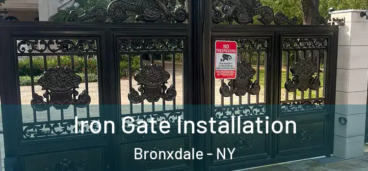 Iron Gate Installation Bronxdale - NY