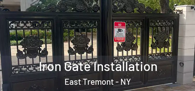 Iron Gate Installation East Tremont - NY