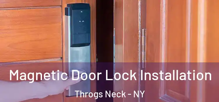  Magnetic Door Lock Installation Throgs Neck - NY