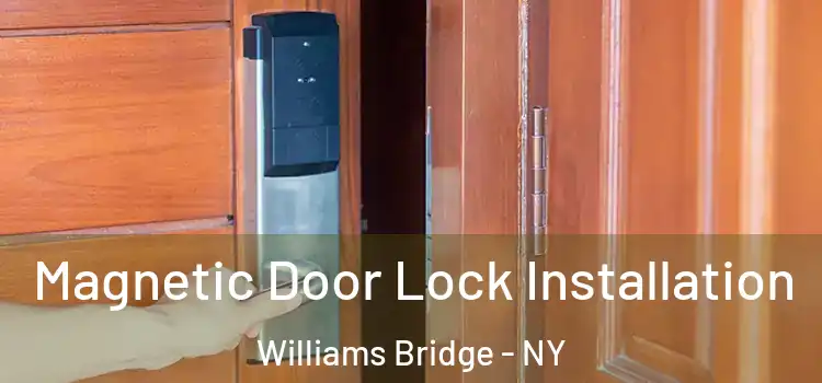  Magnetic Door Lock Installation Williams Bridge - NY