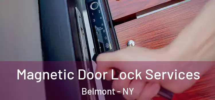  Magnetic Door Lock Services Belmont - NY