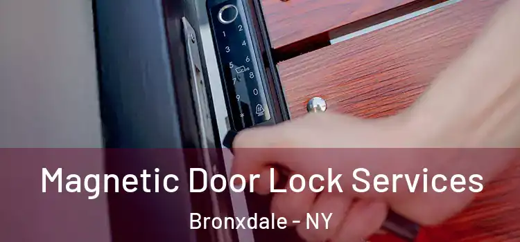 Magnetic Door Lock Services Bronxdale - NY