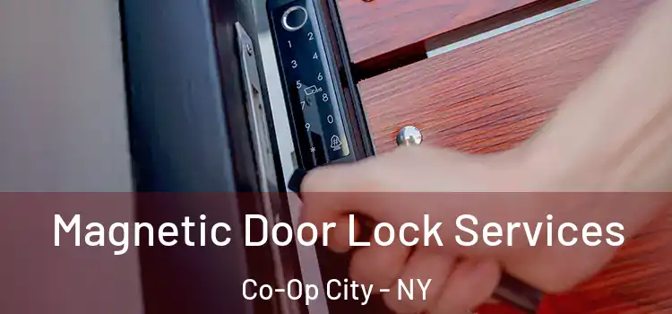 Magnetic Door Lock Services Co-Op City - NY