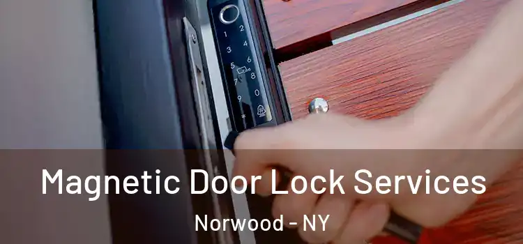 Magnetic Door Lock Services Norwood - NY