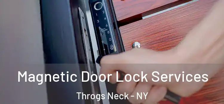 Magnetic Door Lock Services Throgs Neck - NY
