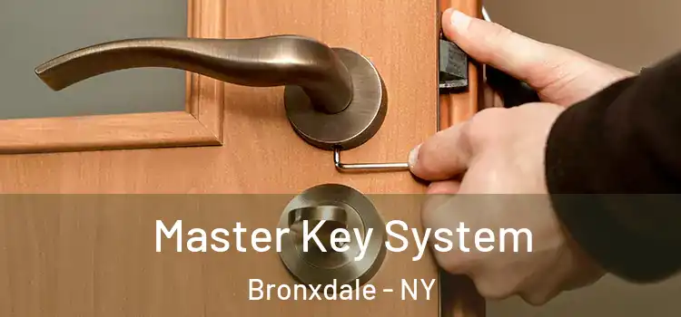 Master Key System Bronxdale - NY