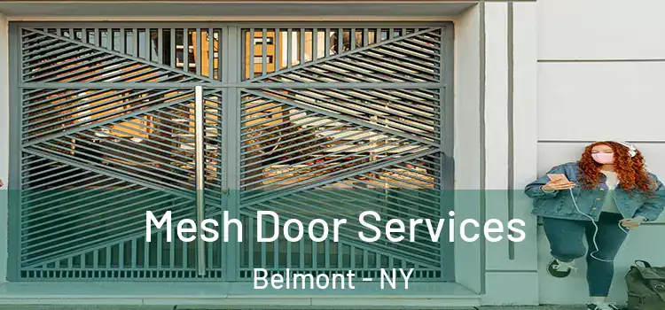 Mesh Door Services Belmont - NY