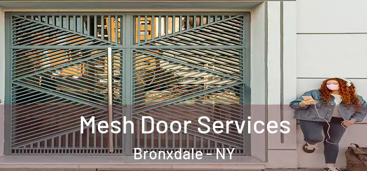 Mesh Door Services Bronxdale - NY