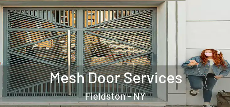  Mesh Door Services Fieldston - NY