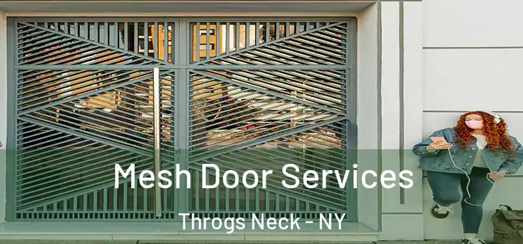 Mesh Door Services Throgs Neck - NY