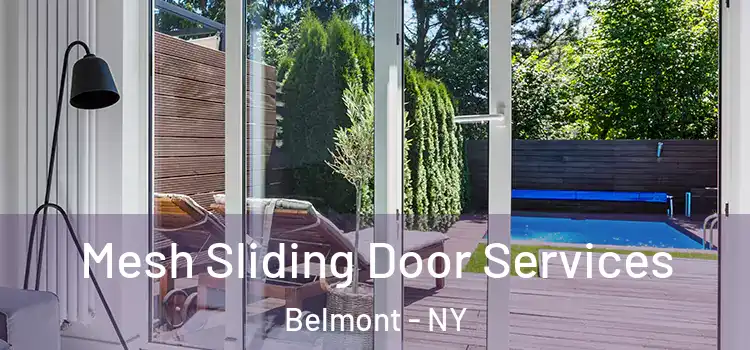 Mesh Sliding Door Services Belmont - NY