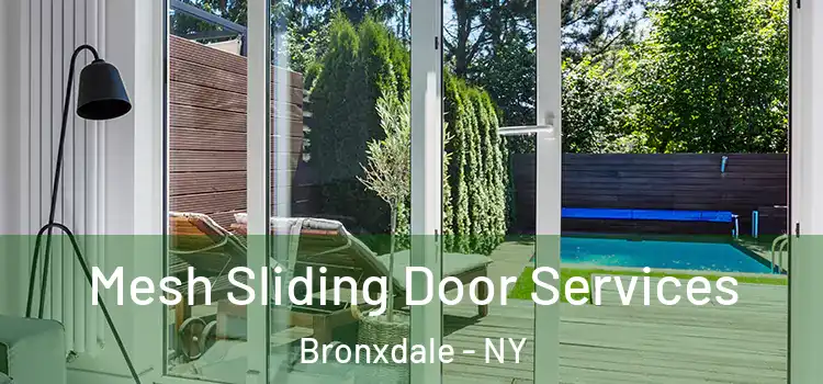 Mesh Sliding Door Services Bronxdale - NY