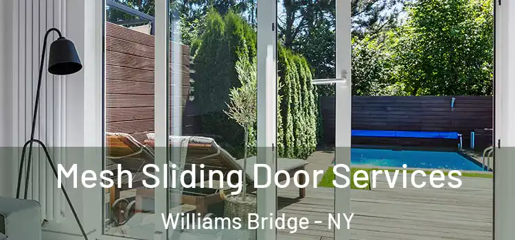  Mesh Sliding Door Services Williams Bridge - NY