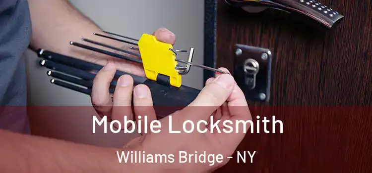  Mobile Locksmith Williams Bridge - NY